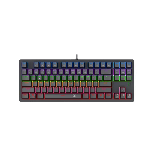 Corvette TGK302 RAINBOW