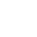 bo-icon