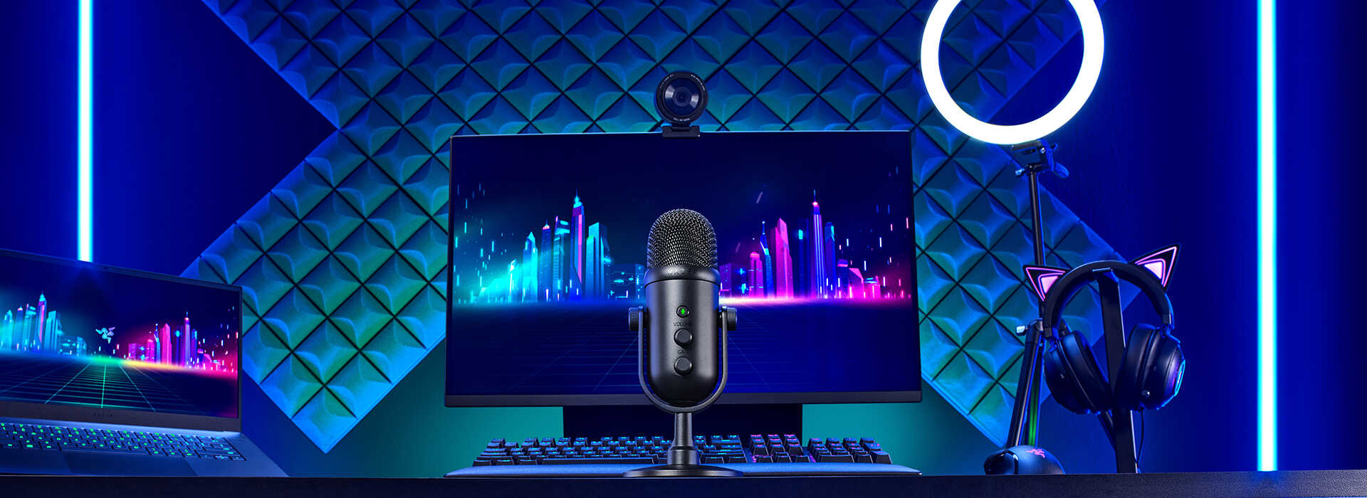 میکروفون ریزر RAZER SEIREN V2 Pro