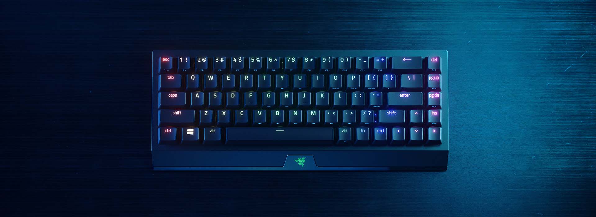 کيبورد گیمینگ ريزر Razer Blackwidow V3 Mini Yellow Switch