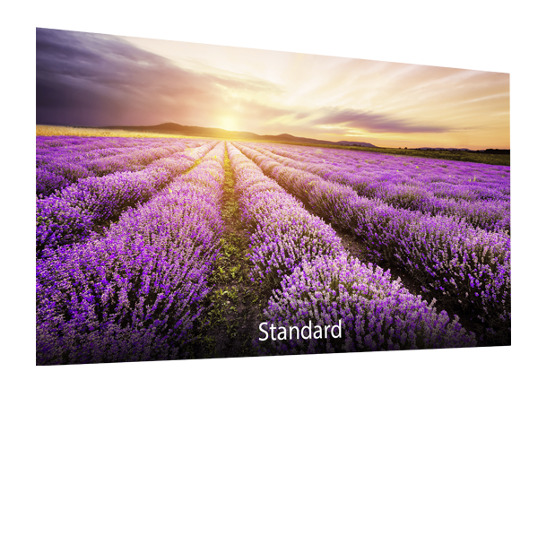 ASUS-Eye-Care-Technology-Blue-Light-Filter-Standard ASUS BE24DQLB