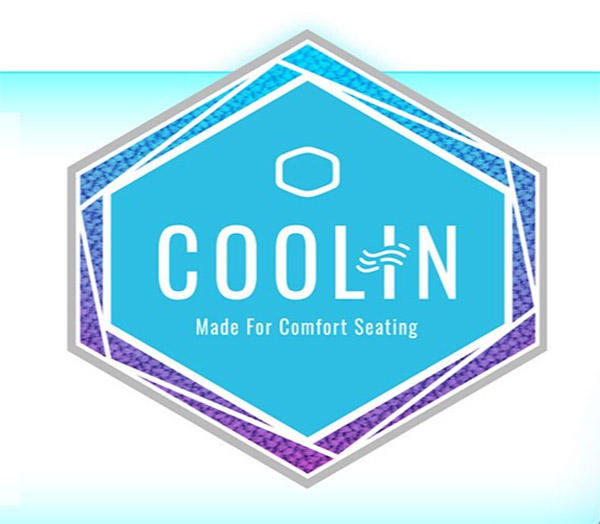 صندلی گیمینگ CoolerMaster Caliber R2C | فروشگاه گیمینگ تکاف