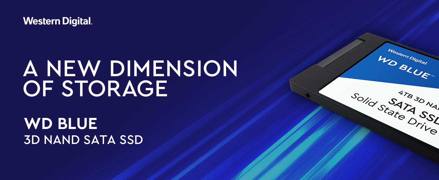 SSD وسترن ديجيتال مدل WD Blue 250GB
