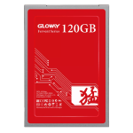 هارد SSD Gloway با ظرفیت 120 گیگابایت مدل FER