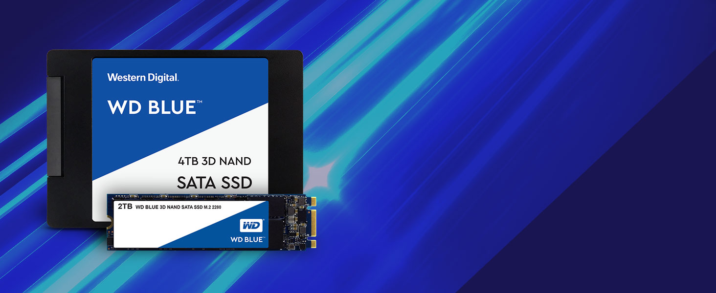 SSD وسترن ديجيتال مدل WD Blue 250GB