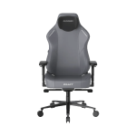 صندلی گیمینگ دی ایکس ریسر سری کرفت مدل Dxracer Craft GC/XLCF23LTA/G
