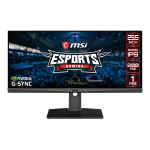 مانیتور گیمینگ ام اس آی MSI Optix MAG301RF