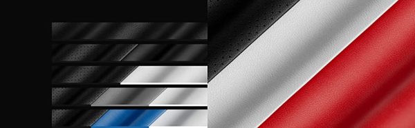 صندلی گیمینگ ای کی ریسینگ سری مستر مدل AKRacing Masters Pro مشکی
