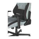 صندلی گیمینگ دی ایکس ریسر سری دریفتینگ مدل Dxracer Drifting GC/LDC23FBC/CN Regular