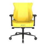 صندلی گیمینگ دی ایکس ریسر سری کرفت مدل Dxracer Craft GC/XLCF23LTA/Y