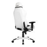 صندلی گیمینگ ای کی ریسینگ سری مستر مدل AKRacing Masters Premium سفید مشکی