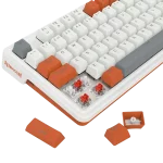 کیبورد مکانیکال گیمینگ ردراگون Redragon Gloria K664 WOG RGB