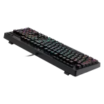 کیبورد مکانیکال گیمینگ ردراگون Redragon Manyu K579RGB
