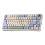 کیبورد بی سیم/باسیم مکانیکال گیمینگ ردراگون Geb K673 CPG PRO
