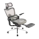 صندلی گیمینگ ردراگون Redragon C-701G