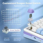 کیبورد بی سیم مکانیکال گیمینگ ردراگون Redragon Cyrus PRO K681 WBP