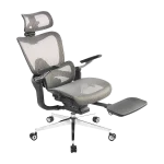 صندلی گیمینگ ردراگون Redragon C-701G