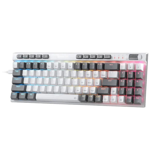 کیبورد مکانیکال گیمینگ ردراگون Redragon K655 WG RGB