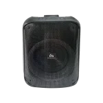 اسپیکر قابل حمل تازاتا TAZATA PARTY FS-T868
