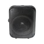 اسپیکر قابل حمل تازاتا TAZATA PARTY FS-L1210