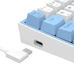 کیبورد مکانیکال گیمینگ ردراگون Redragon Fizz K617 WB RGB