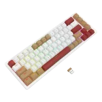 کیبورد بی سیم/باسیم مکانیکال گیمینگ ردراگون Redragon K677 WLR Pro